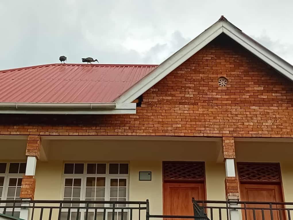 Seven Seven B&B Arusha Exterior photo